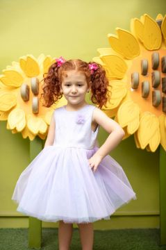 تصویر  پیراهن تور  یاسی